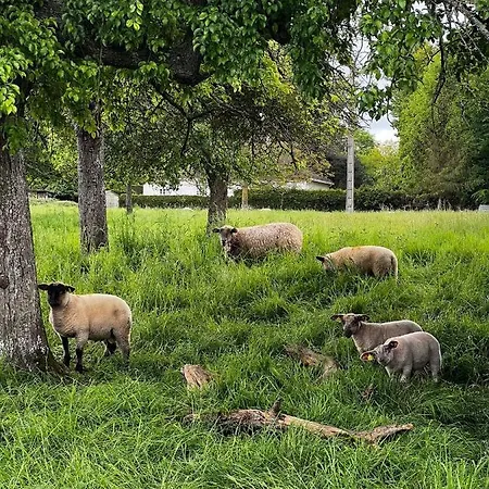 Ailleurs Sous Les Etoiles Nyaraló *