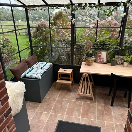 Ailleurs Sous Les Etoiles *